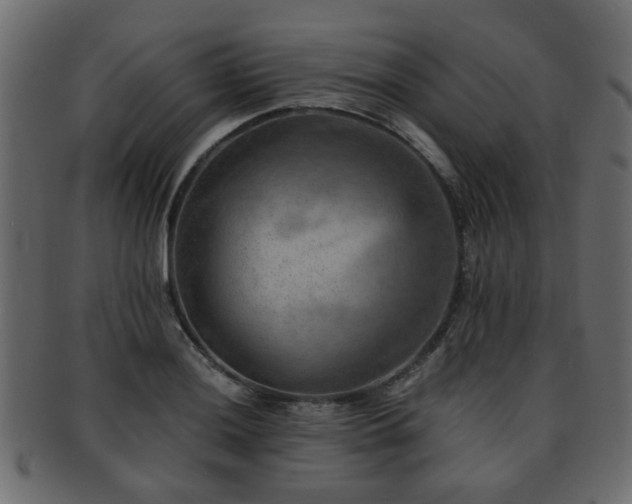 X0000093101036200709261226
