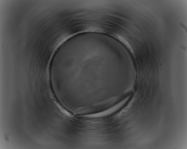 X0000093101037200709261226