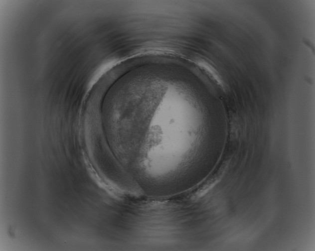 X0000093101038200709261226