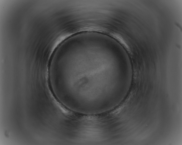 X0000093101040200709261226