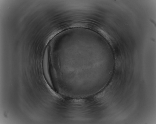 X0000093101041200709261226