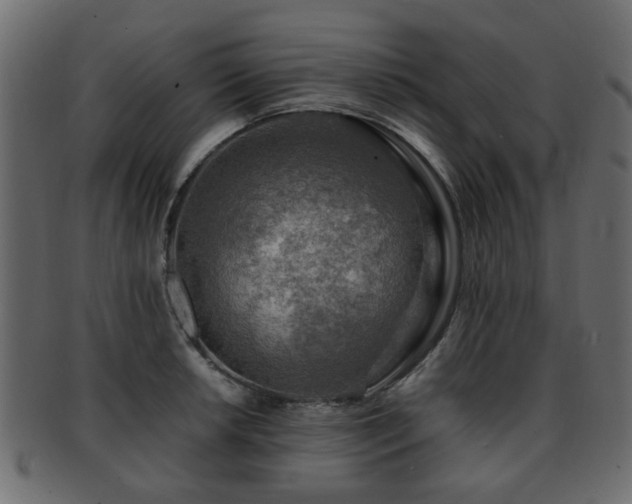 X0000093101042200709261226