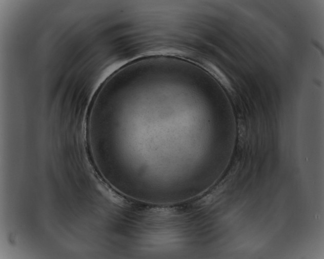 X0000093101044200709261226