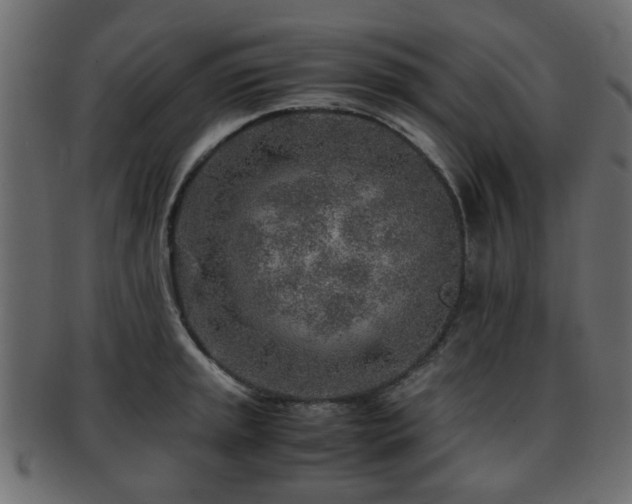 X0000093101045200709261226