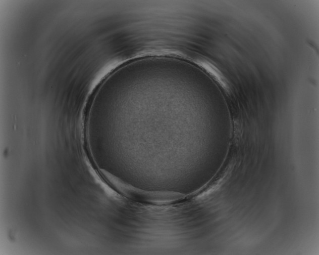X0000093101046200709261226