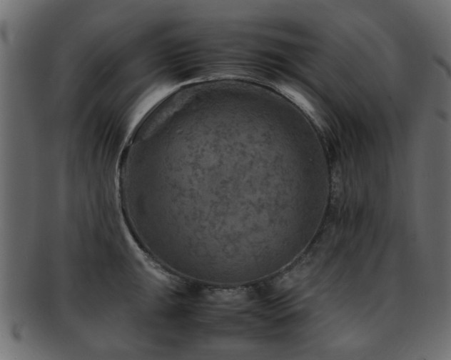 X0000093101047200709261226