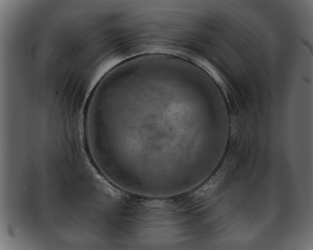 X0000093101048200709261226