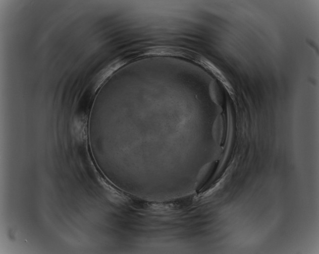 X0000093101049200709261226