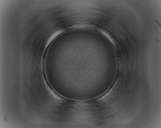 X0000093101050200709261226