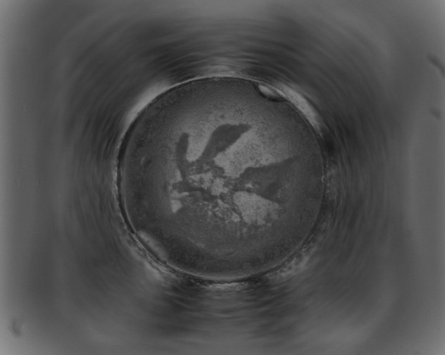 X0000093101051200709261226