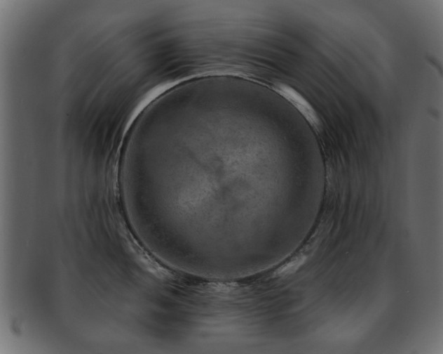 X0000093101052200709261226
