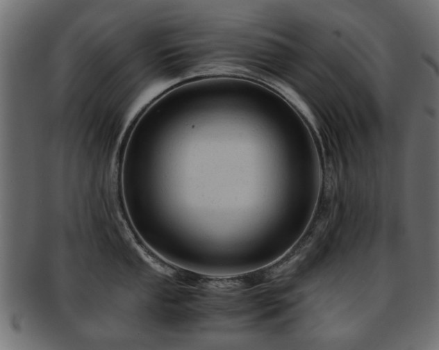 X0000093101053200709261226