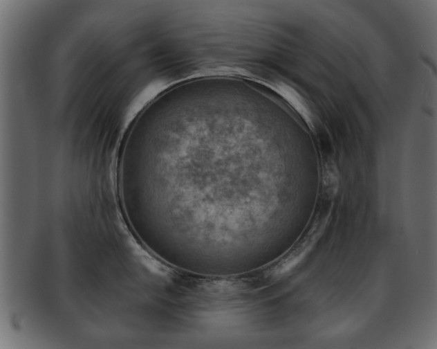 X0000093101054200709261226