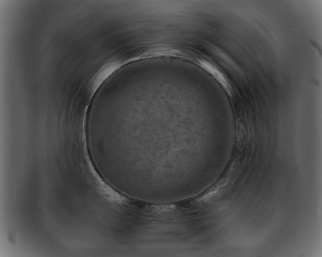 X0000093101055200709261226