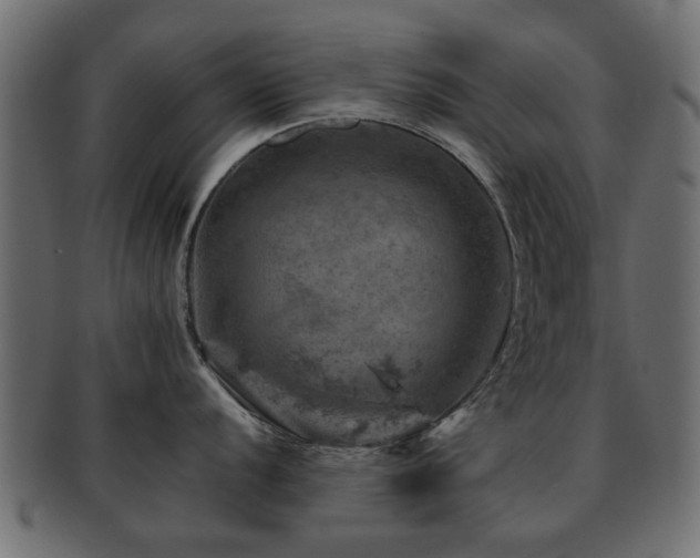 X0000093101056200709261226