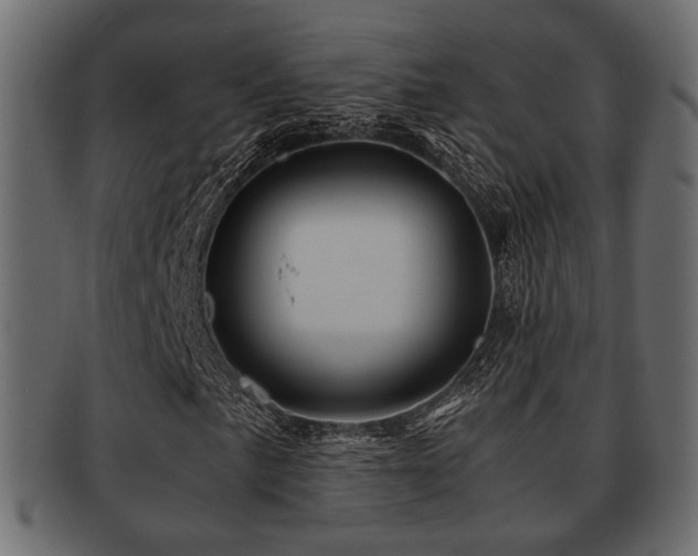 X0000093101057200709261226