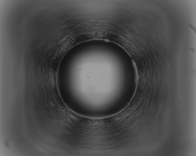 X0000093101058200709261226