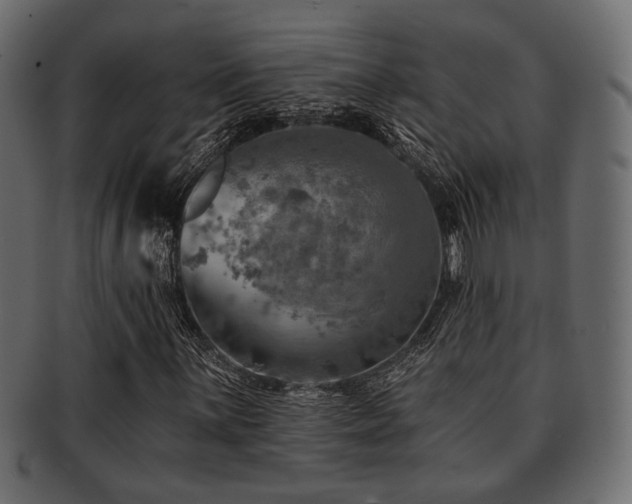 X0000093101059200709261226