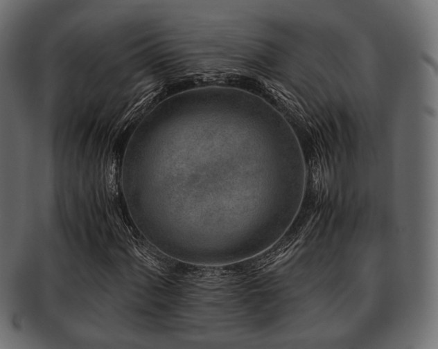 X0000093101060200709261226