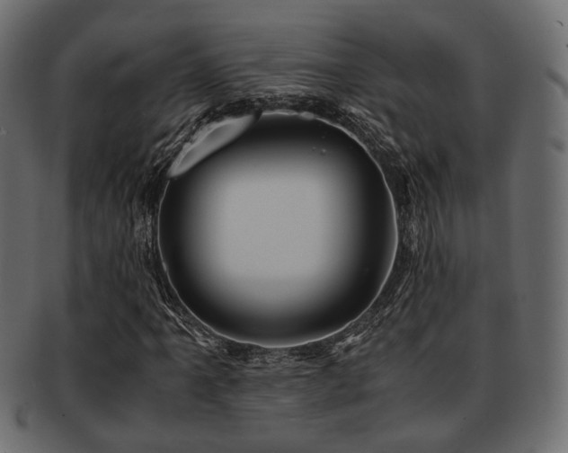 X0000093101061200709261226