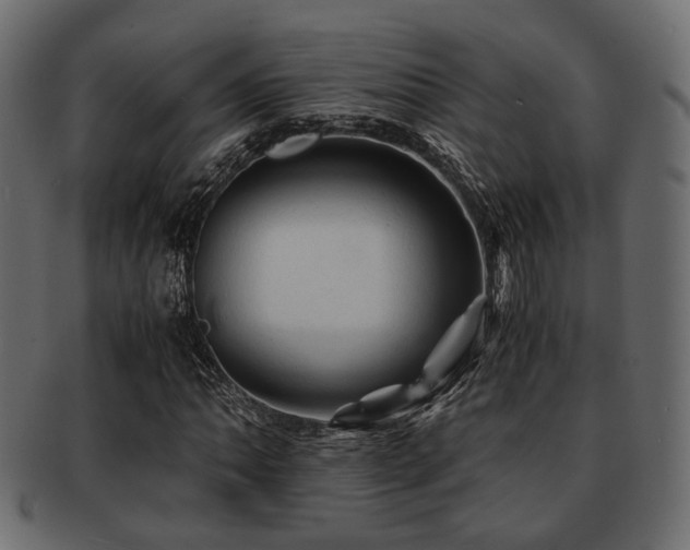 X0000093101062200709261226
