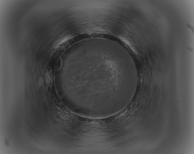 X0000093101063200709261226