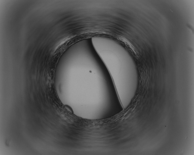 X0000093101064200709261226