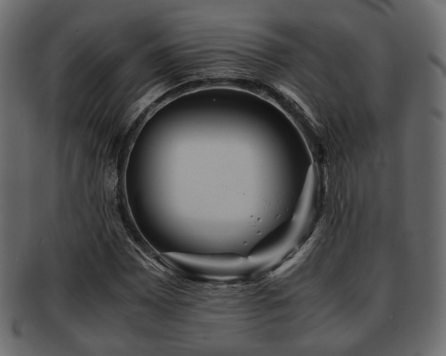 X0000093101065200709261226