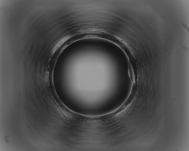 X0000093101066200709261226