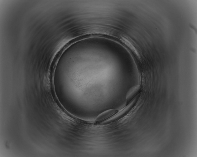 X0000093101068200709261226
