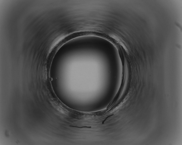 X0000093101069200709261226