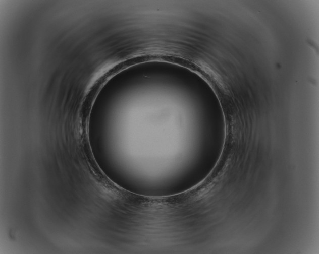 X0000093101070200709261226
