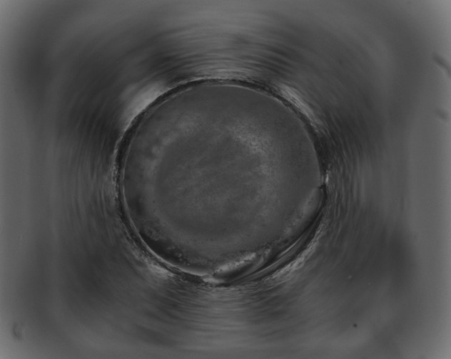 X0000093101071200709261226