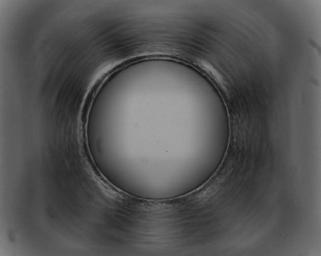 X0000093101072200709261226