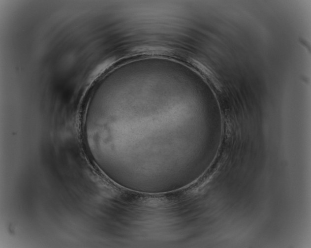 X0000093101074200709261226