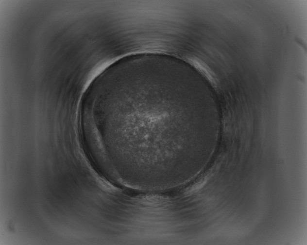 X0000093101077200709261225