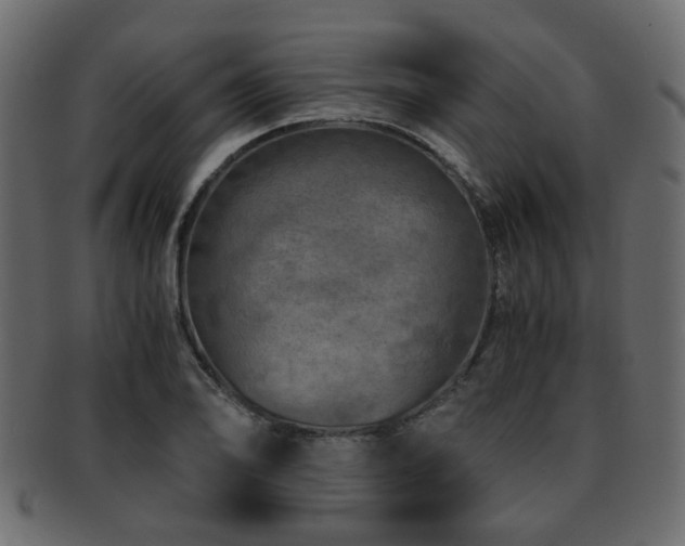 X0000093101078200709261225