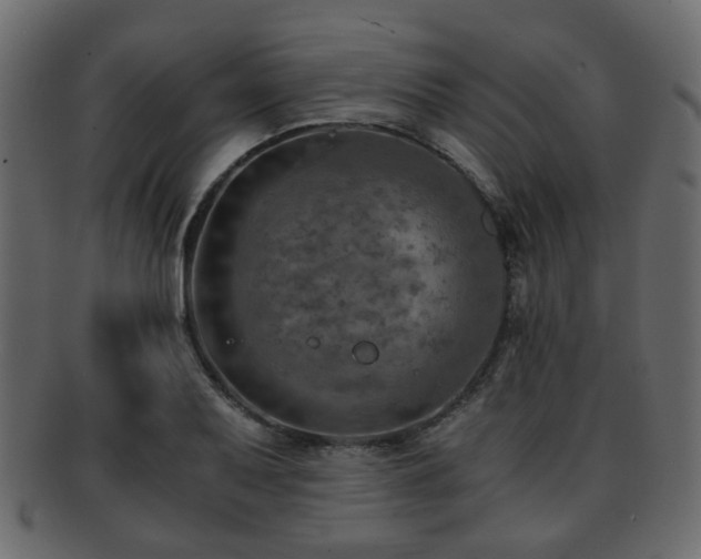 X0000093101079200709261225