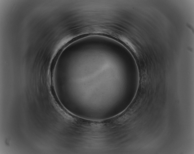 X0000093101080200709261225