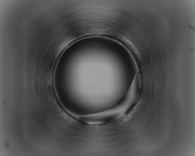 X0000093101081200709261225