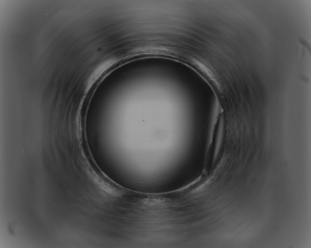 X0000093101082200709261225