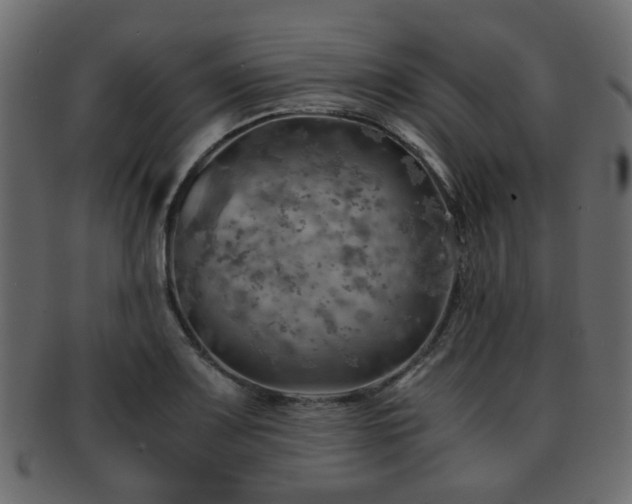 X0000093101083200709261225