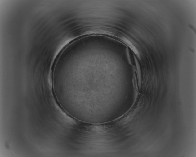 X0000093101084200709261225