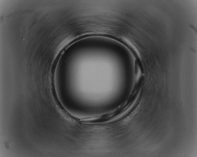 X0000093101085200709261225