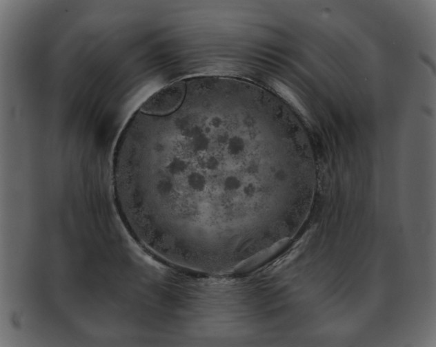 X0000093101087200709261225