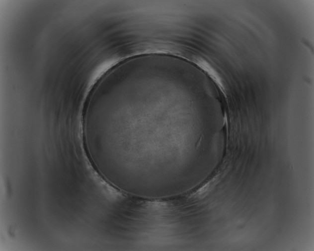 X0000093101088200709261225