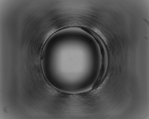 X0000093101089200709261225