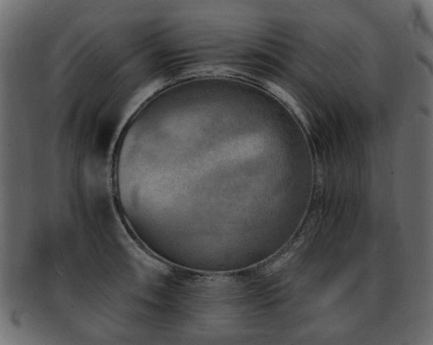 X0000093101090200709261225