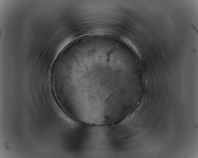 X0000093101091200709261225