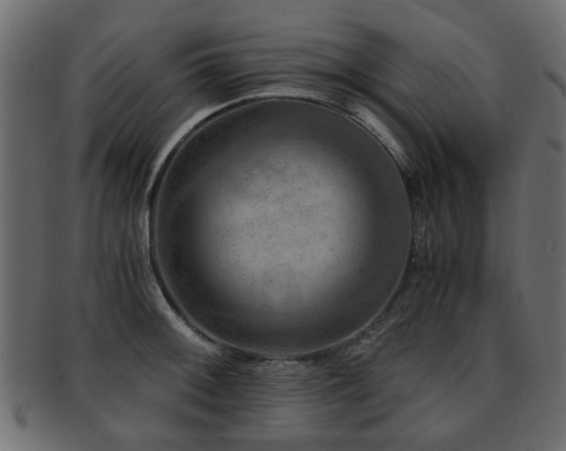 X0000093101092200709261225